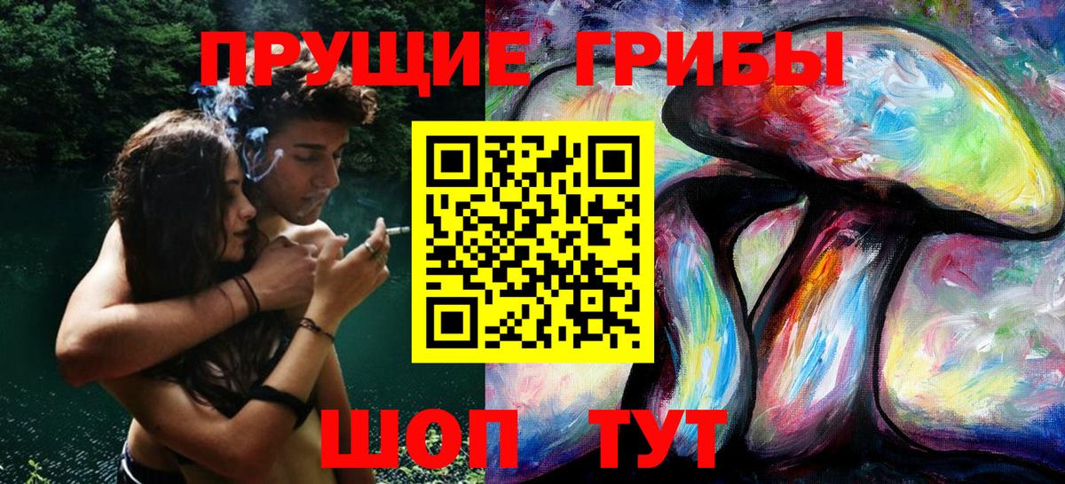Псилоцибиновые грибы Psilocybine cubensis  Вход с VPN  Среднеуральск  Галлюциногенные грибы мухоморы 